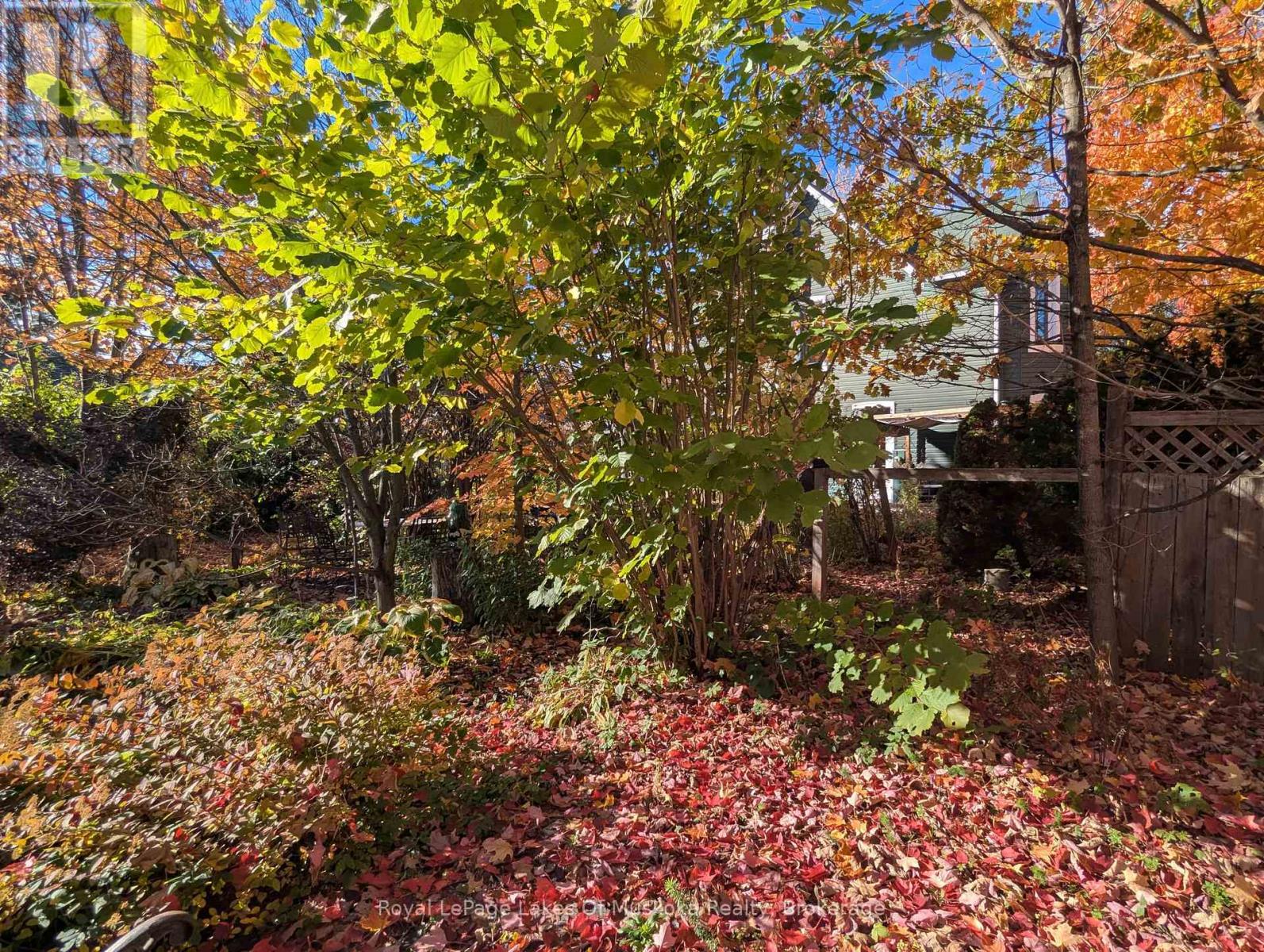 86 Quebec Street, Bracebridge, Ontario  P1L 2A4 - Photo 6 - X12492138