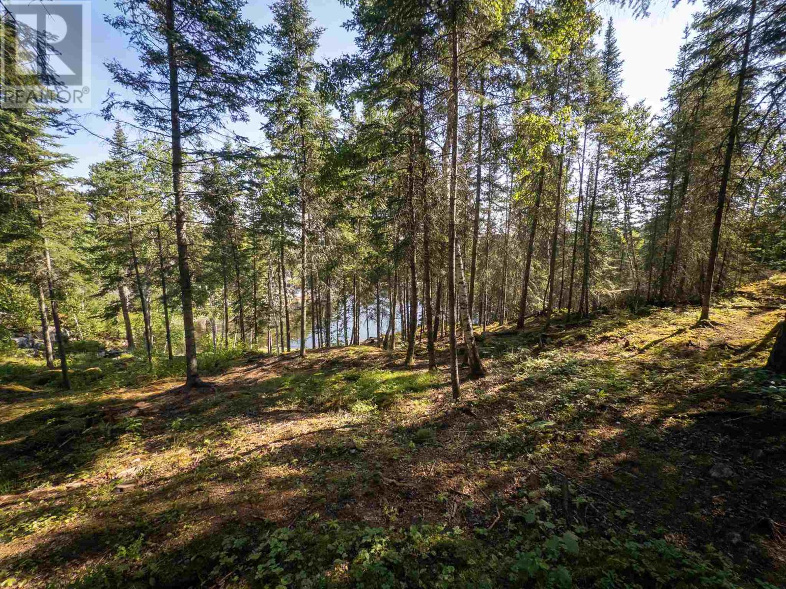 69 Peterson Drive, Kenora, Ontario  P0X 1C0 - Photo 24 - TB251953