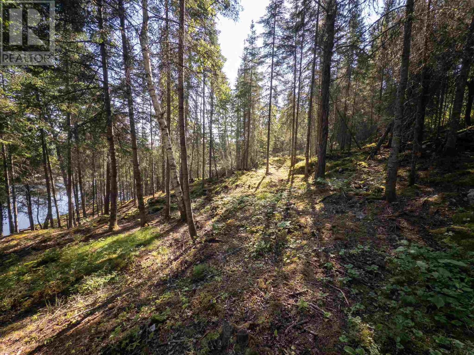 69 Peterson Drive, Kenora, Ontario  P0X 1C0 - Photo 23 - TB251953