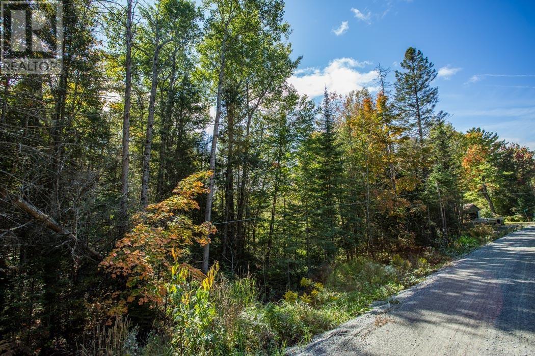 5th Concession Rd, Bruce Mines, Ontario  P0R 1C0 - Photo 14 - SM252704