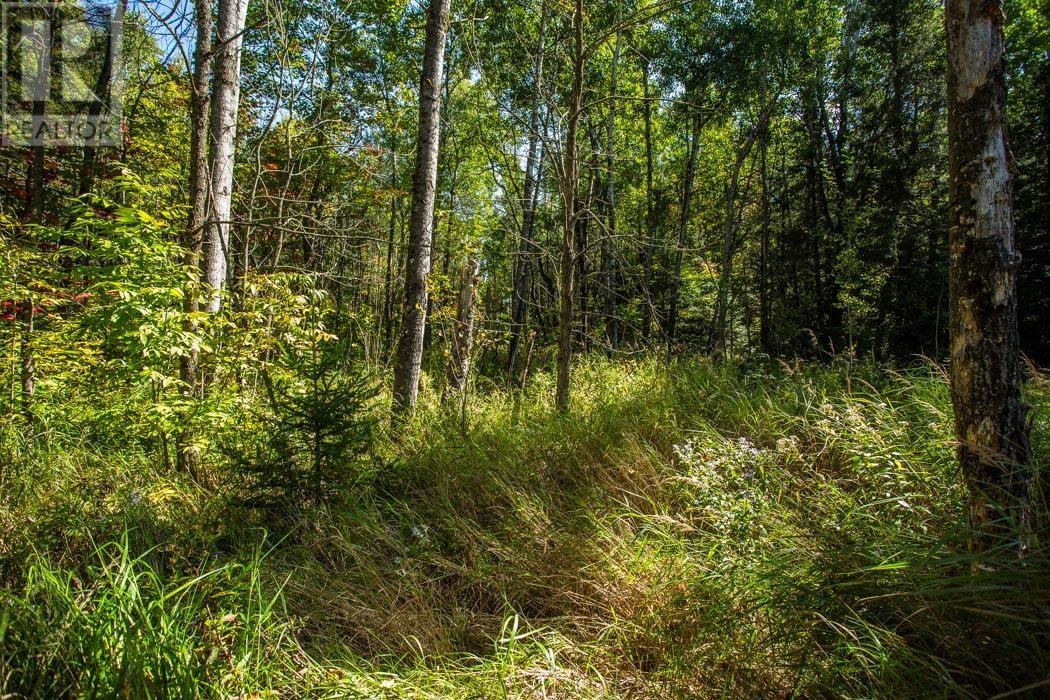 5th Concession Rd, Bruce Mines, Ontario  P0R 1C0 - Photo 20 - SM252704