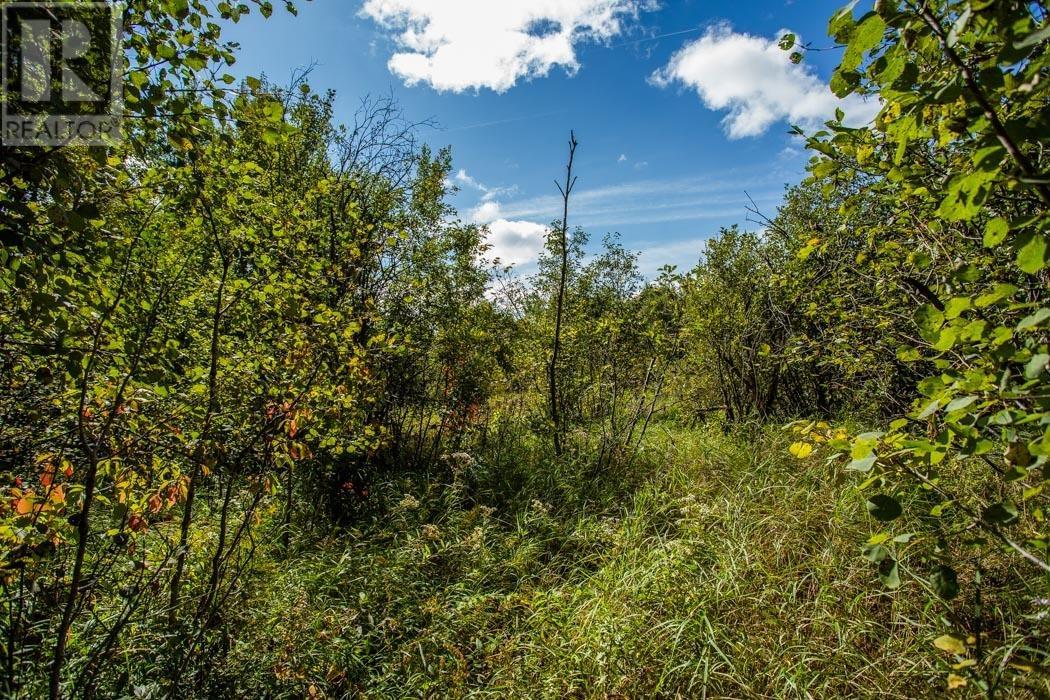 5th Concession Rd, Bruce Mines, Ontario  P0R 1C0 - Photo 17 - SM252704