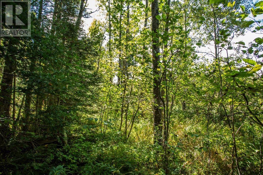 5th Concession Rd, Bruce Mines, Ontario  P0R 1C0 - Photo 19 - SM252704