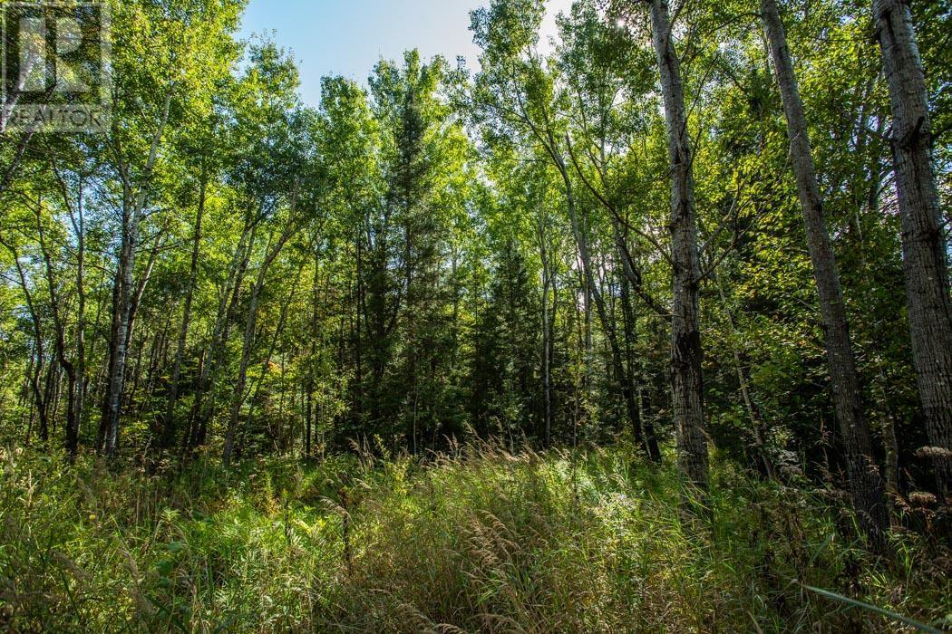 5th Concession Rd, Bruce Mines, Ontario  P0R 1C0 - Photo 22 - SM252704