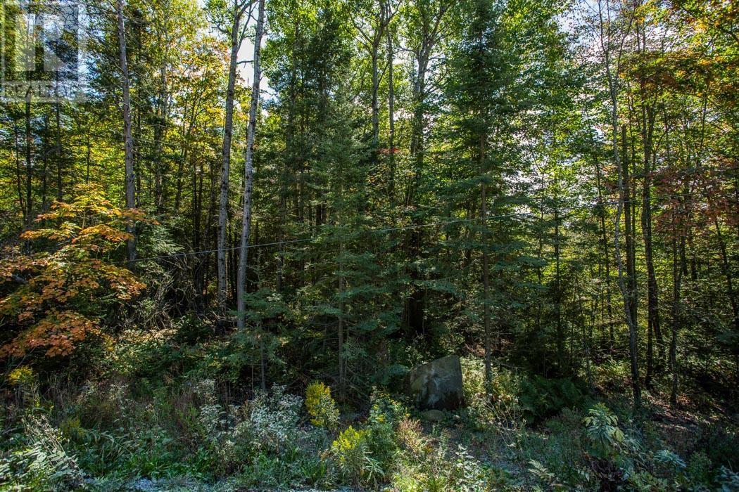 5th Concession Rd, Bruce Mines, Ontario  P0R 1C0 - Photo 16 - SM252704