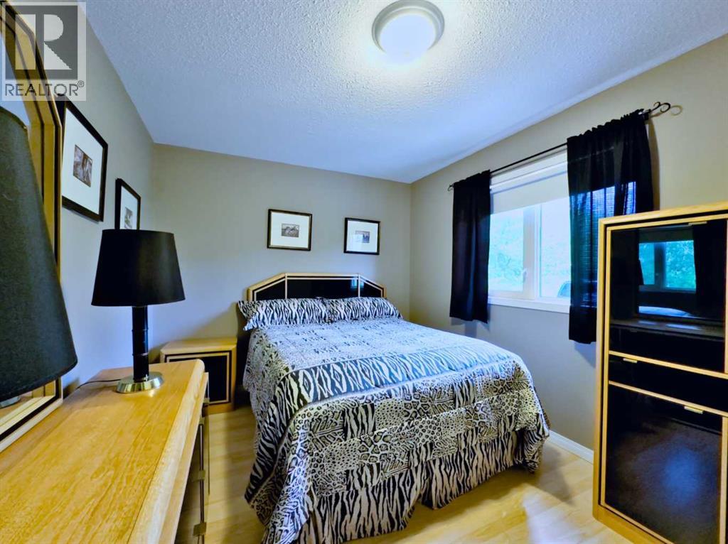 23701 Passburg Drive, Bellevue, Alberta  T0K 0C0 - Photo 14 - A2241670