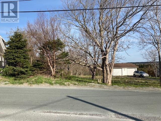 104 North Pond Road, Torbay, Newfoundland & Labrador  A1K 1B2 - Photo 4 - 1292160