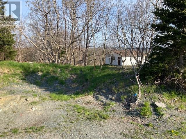 104 North Pond Road, Torbay, Newfoundland & Labrador  A1K 1B2 - Photo 5 - 1292160