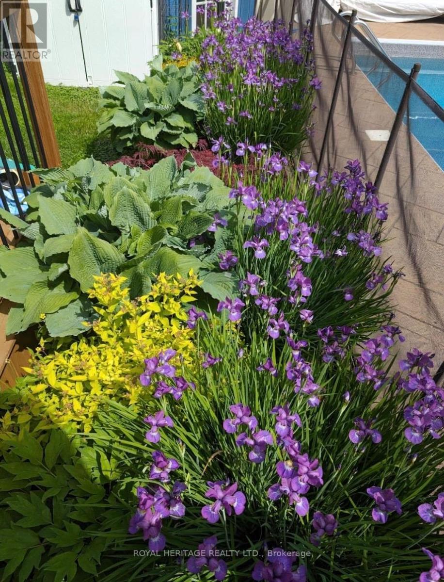 717 Fairview Avenue, Pickering, Ontario  L1W 1M6 - Photo 38 - E12491988