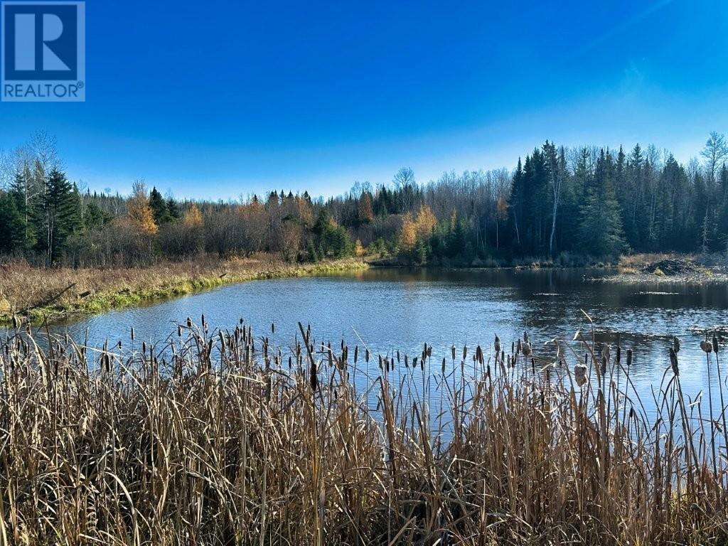 515 Portage Creek Rd, Ware Township, Ontario  P7G 2P5 - Photo 37 - TB253343