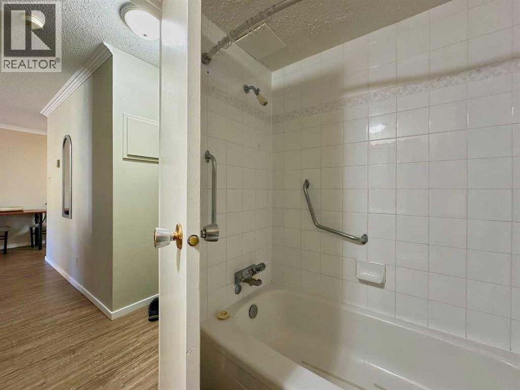 202, 13102 22 Avenue, Blairmore, Alberta  T0K 0E0 - Photo 12 - A2260395