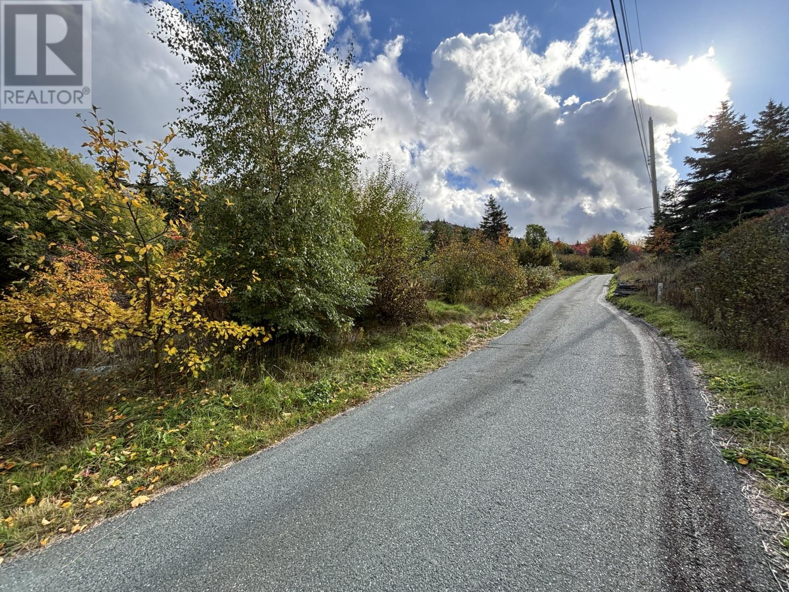 15-19 John Noels Hill, Brigus, Newfoundland & Labrador  A0A 1K0 - Photo 25 - 1292009