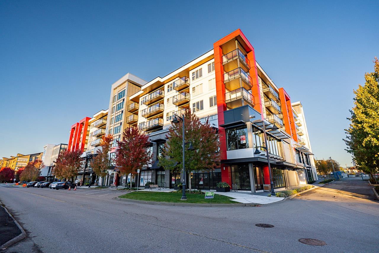 A407 7980 206a Street, Langley, British Columbia  V2Y 3Z8 - Photo 4 - R3062251