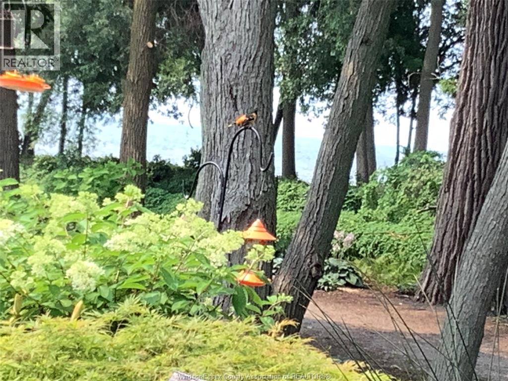 12 Lakeside Crescent, Kingsville, Ontario  N9Y 4C1 - Photo 41 - 25027615