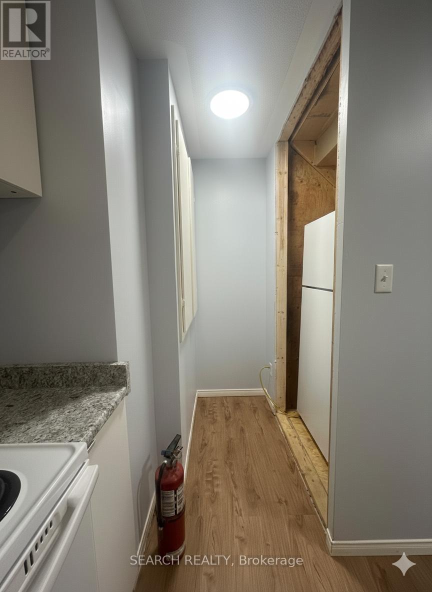 Basement - 13 Lillian Crescent, Brampton, Ontario  L6R 3P9 - Photo 7 - W12472007