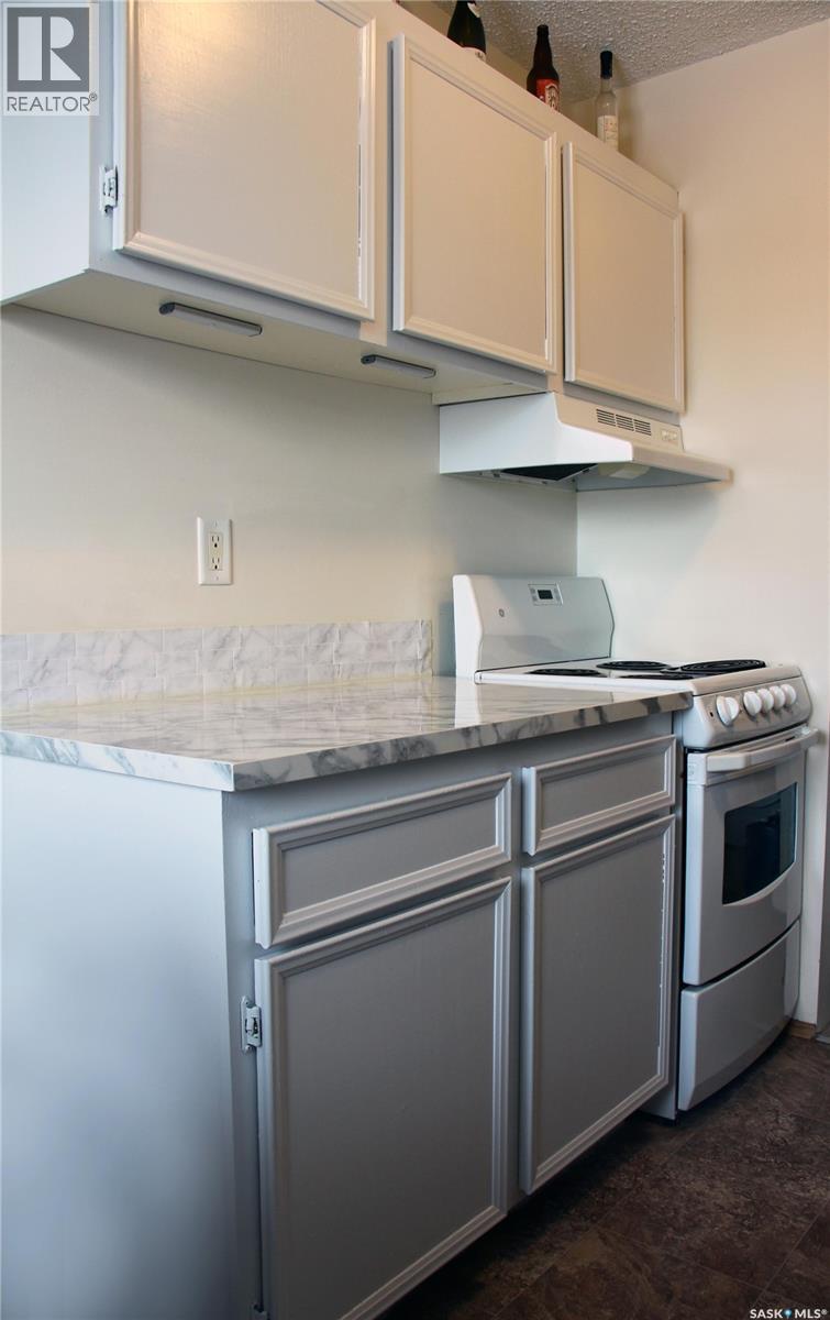 303 51 Rodenbush Drive, Regina, Saskatchewan  S4R 8C7 - Photo 7 - SK022030