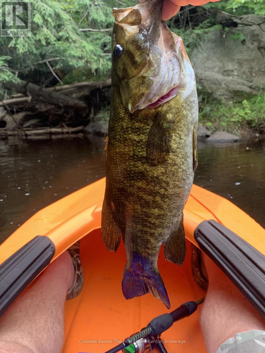 1517 Southwood Road, Gravenhurst, Ontario  P0E 1G0 - Photo 3 - X12492680