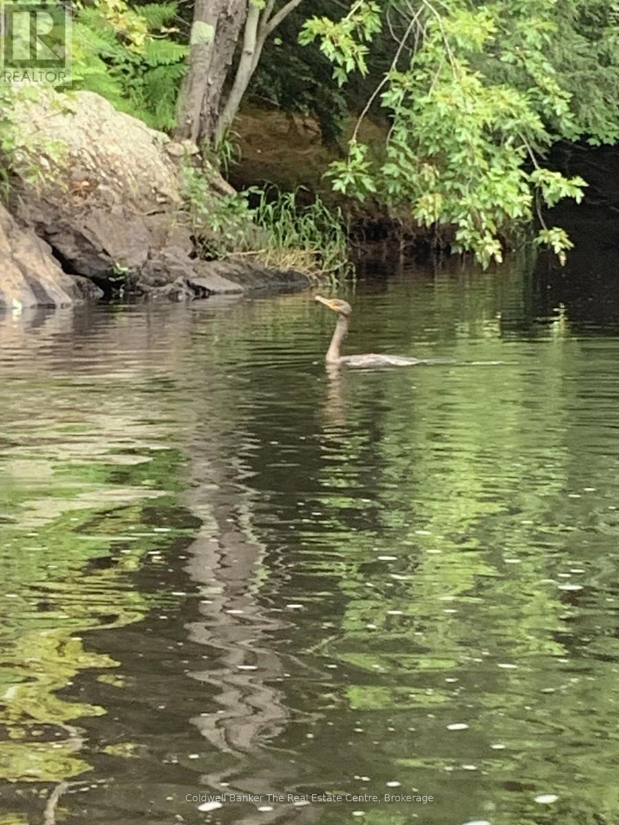 1517 Southwood Road, Gravenhurst, Ontario  P0E 1G0 - Photo 4 - X12492680