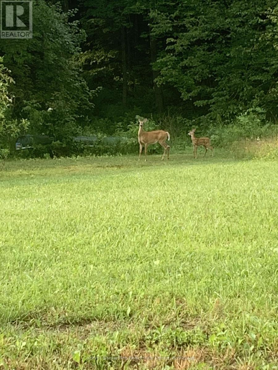 1517 Southwood Road, Gravenhurst, Ontario  P0E 1G0 - Photo 5 - X12492680