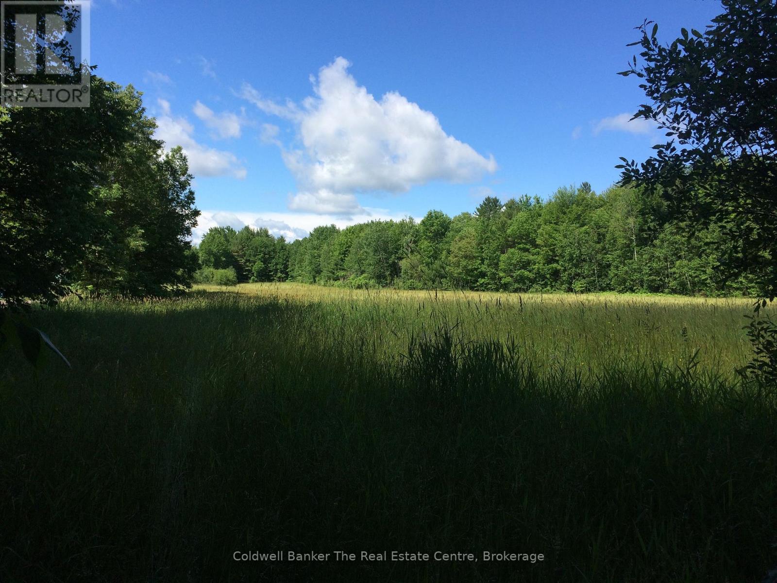 1517 Southwood Road, Gravenhurst, Ontario  P0E 1G0 - Photo 9 - X12492680