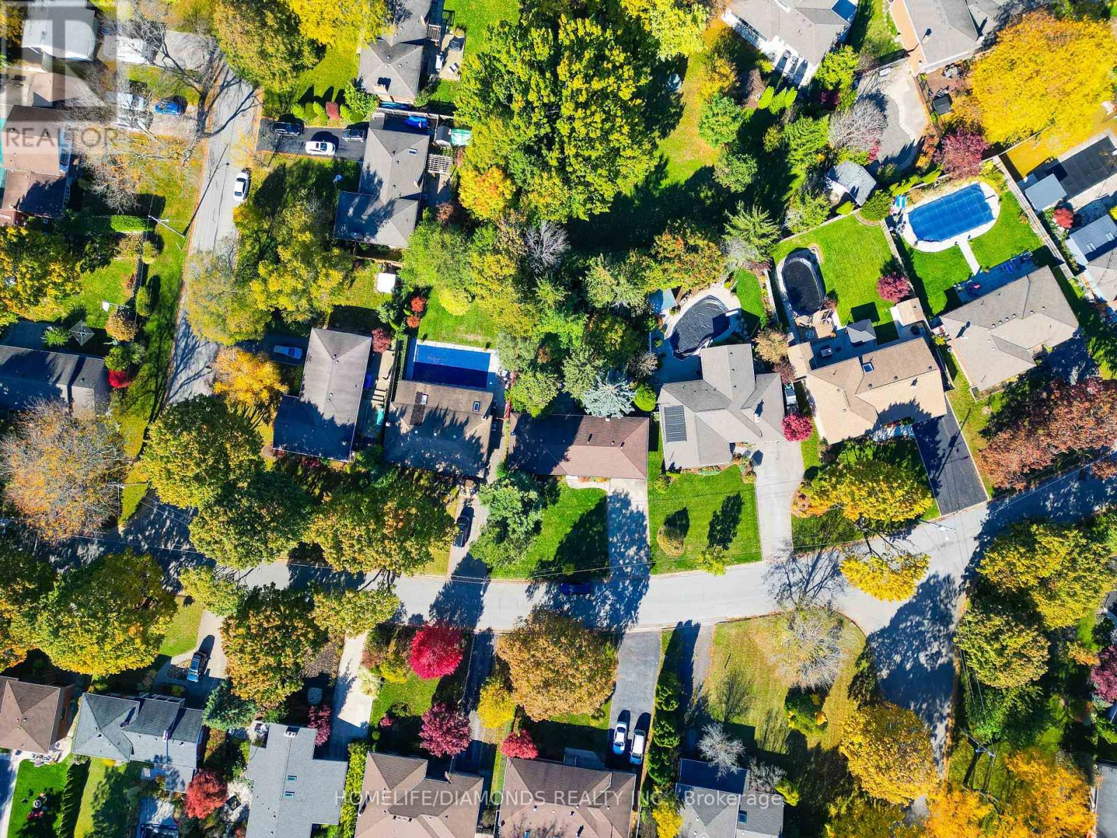 Lower - 17 Old Coach Road, St. Catharines, Ontario  L2N 2P4 - Photo 2 - X12488604