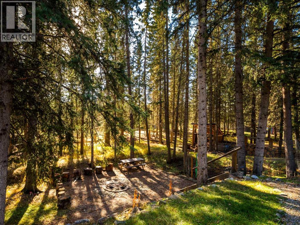 4 Forestry Trail, Waiparous, Alberta  T4C 1B7 - Photo 43 - A2267327