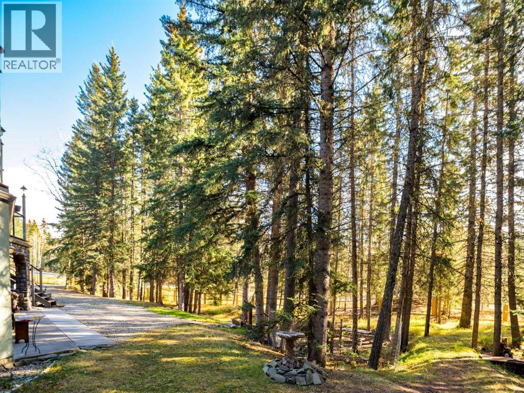 4 Forestry Trail, Waiparous, Alberta  T4C 1B7 - Photo 48 - A2267327