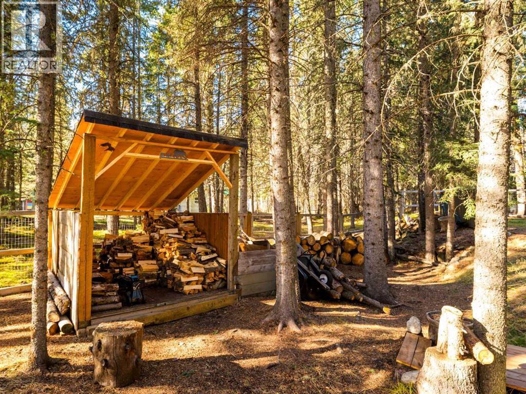 4 Forestry Trail, Waiparous, Alberta  T4C 1B7 - Photo 47 - A2267327