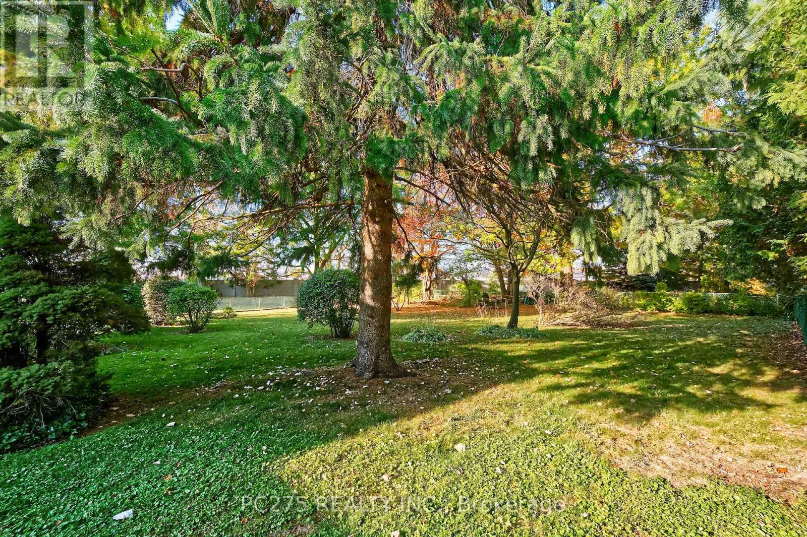 34 Thackerey Place, London North, Ontario  N6G 3E7 - Photo 38 - X12492444