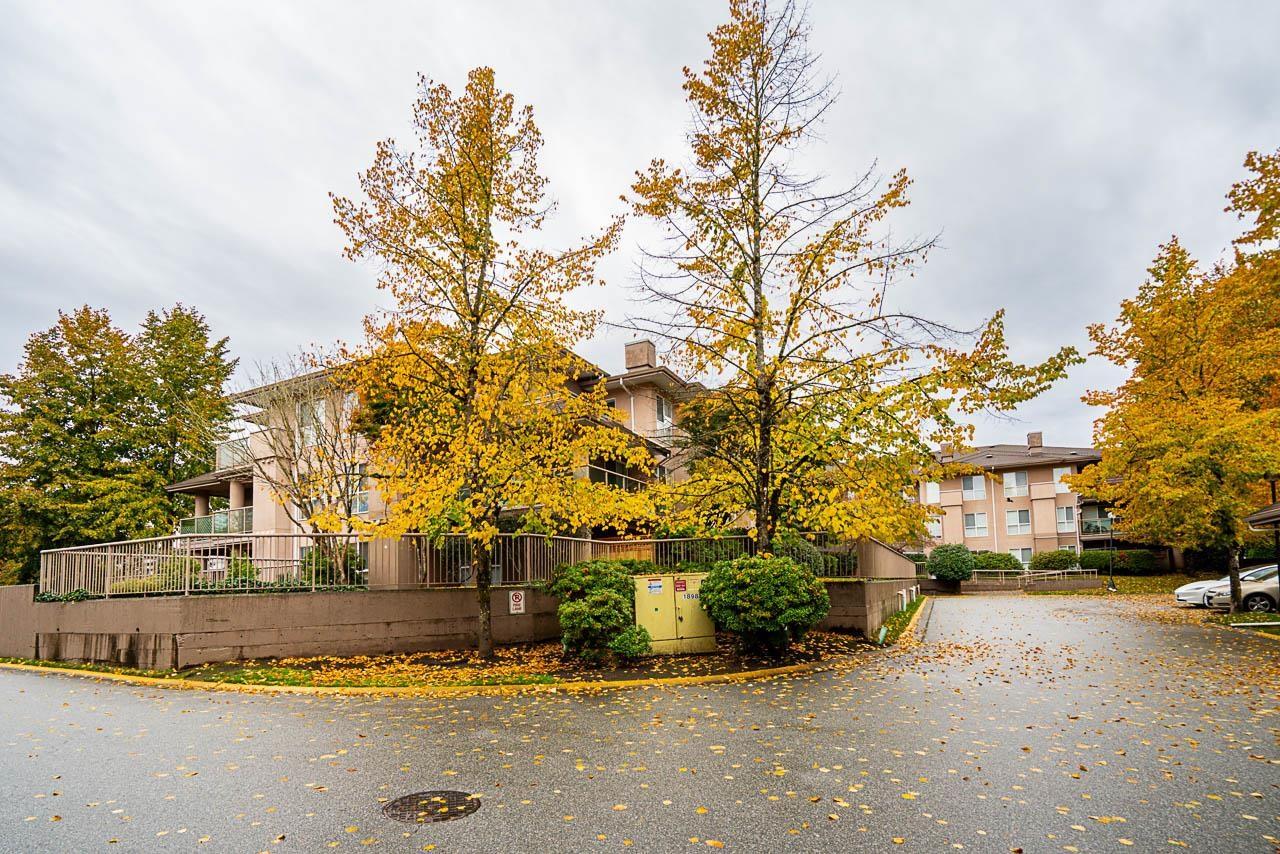 111 14981 101a Avenue, Surrey, British Columbia  V3R 0T1 - Photo 3 - R3063315