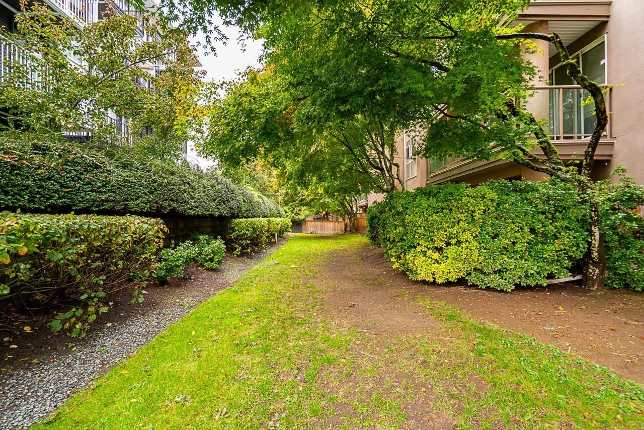 111 14981 101a Avenue, Surrey, British Columbia  V3R 0T1 - Photo 33 - R3063315