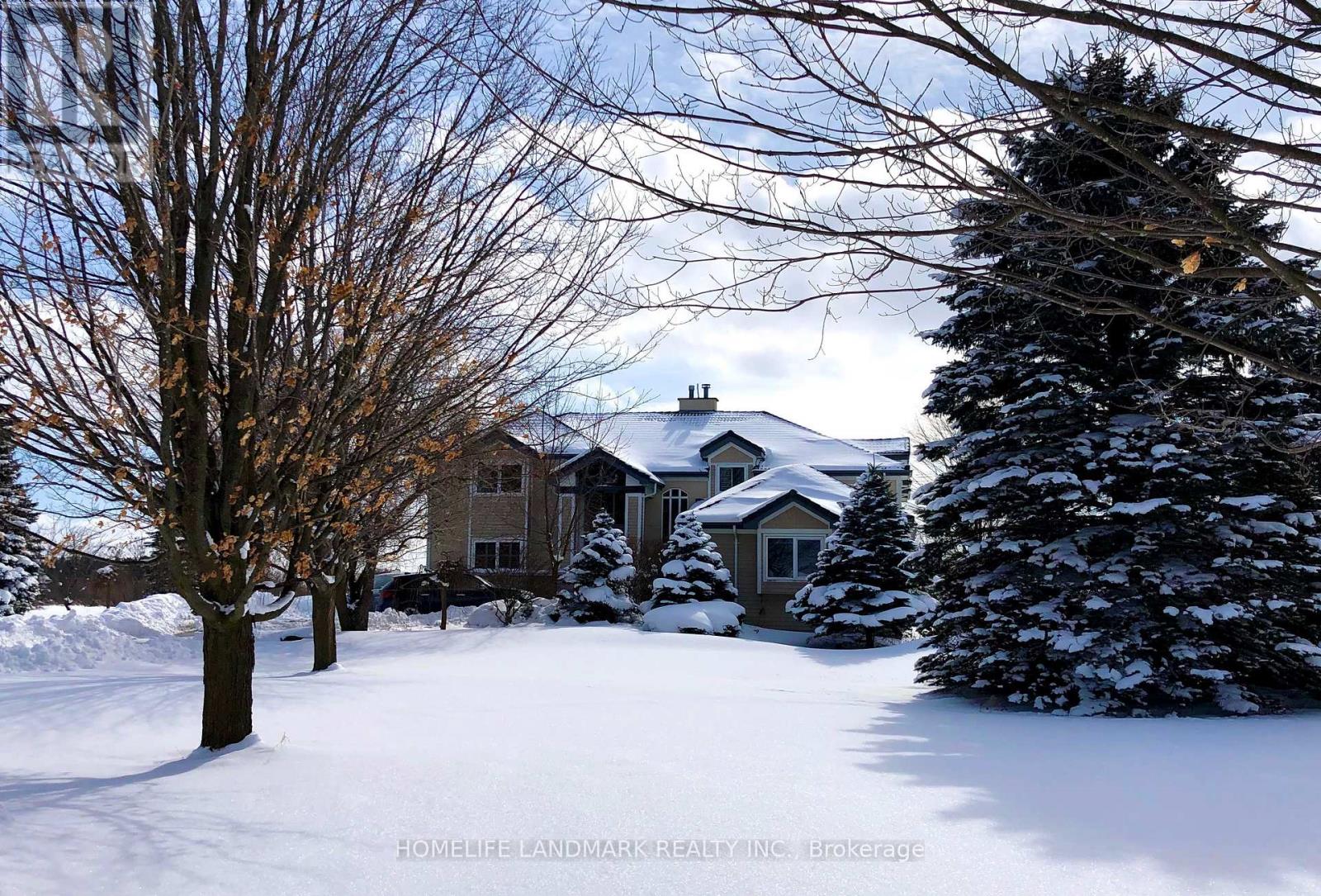 2477 Hornes Road, East Gwillimbury, Ontario  L0G 1R0 - Photo 7 - N12443644