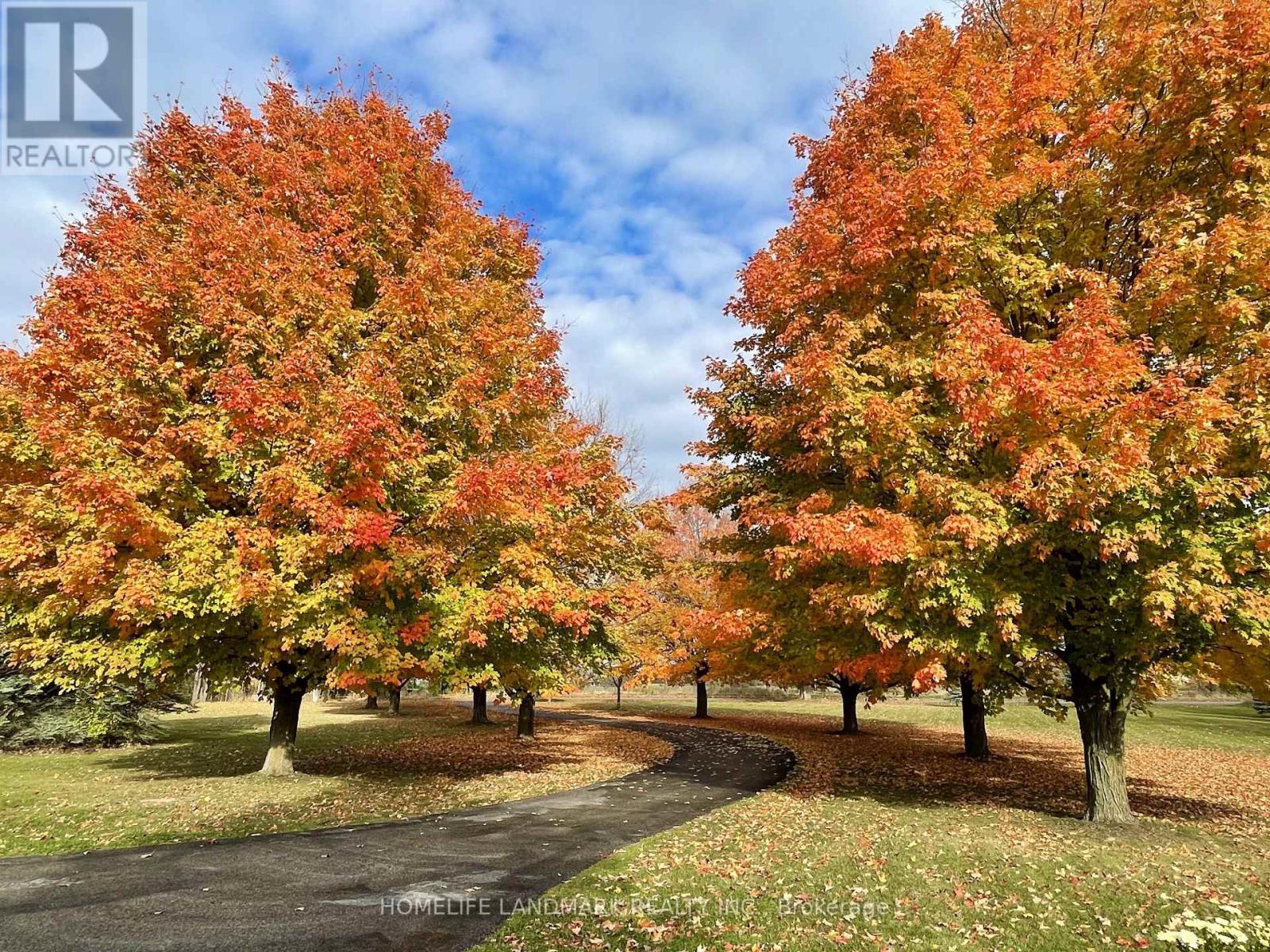 2477 Hornes Road, East Gwillimbury, Ontario  L0G 1R0 - Photo 6 - N12443644