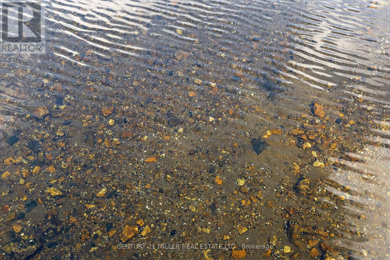 733 Marble Point Road, Marmora And Lake, Ontario  K0K 2M0 - Photo 33 - X12492982