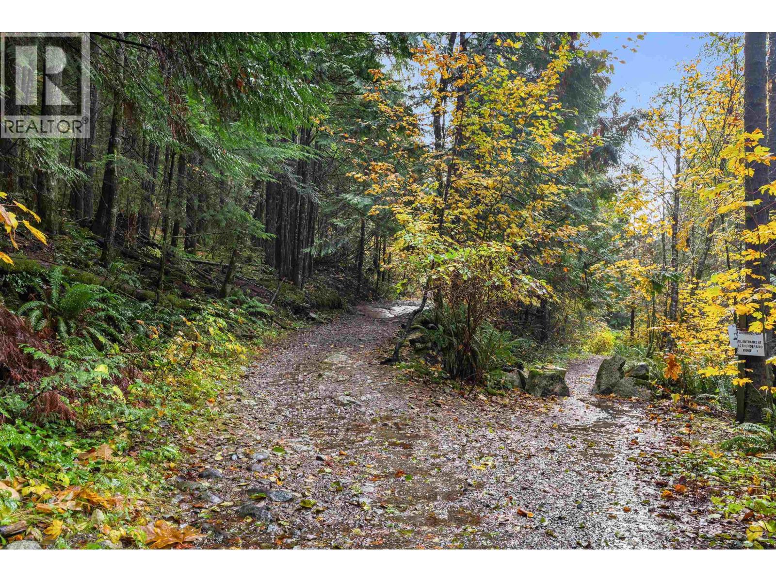 19 1026 Glacier View Drive, Squamish, British Columbia  V8B 0G1 - Photo 33 - R3063180