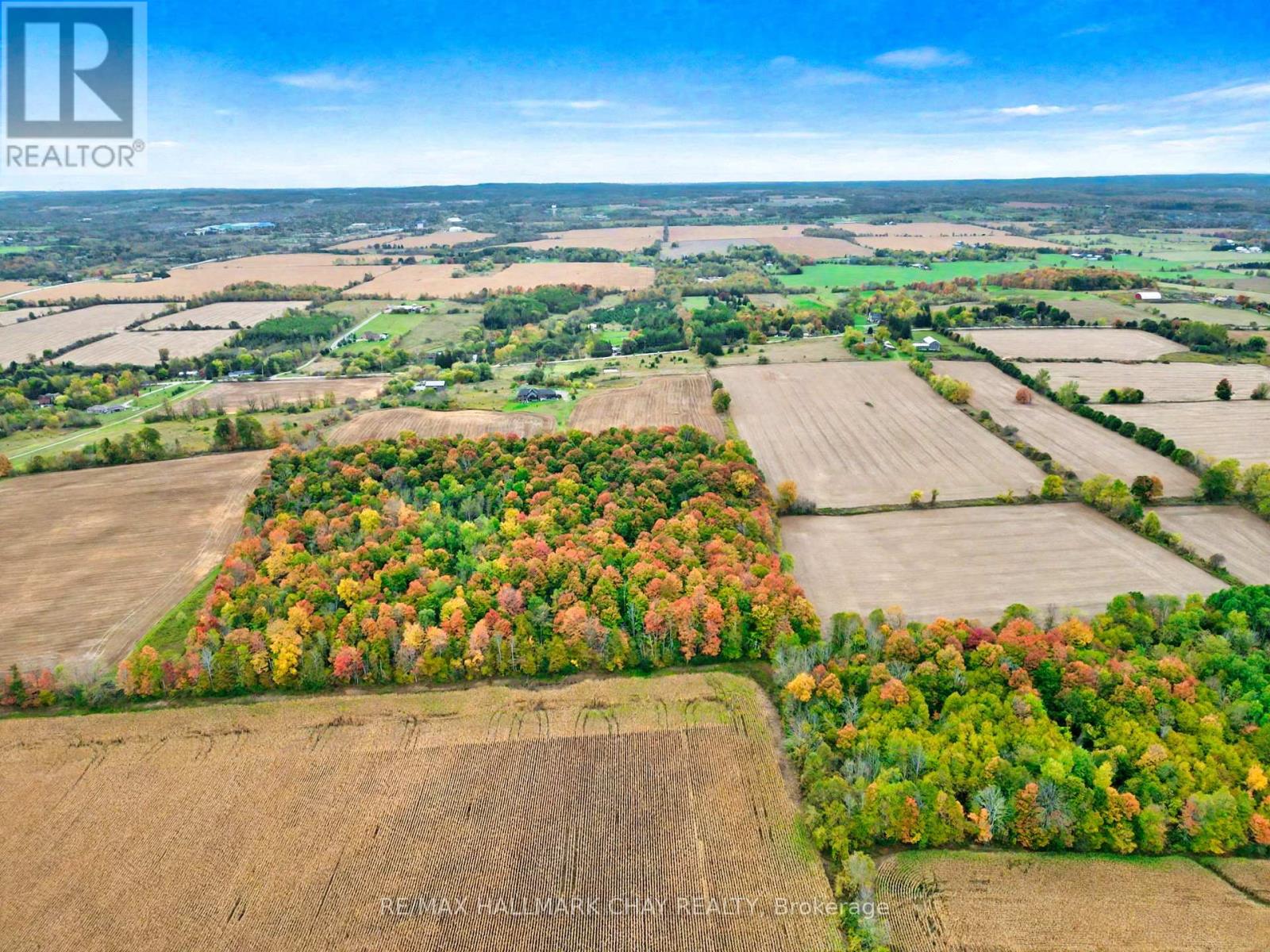 6910 & 6924 7th Line, New Tecumseth, Ontario  L0G 1A0 - Photo 11 - N12313067
