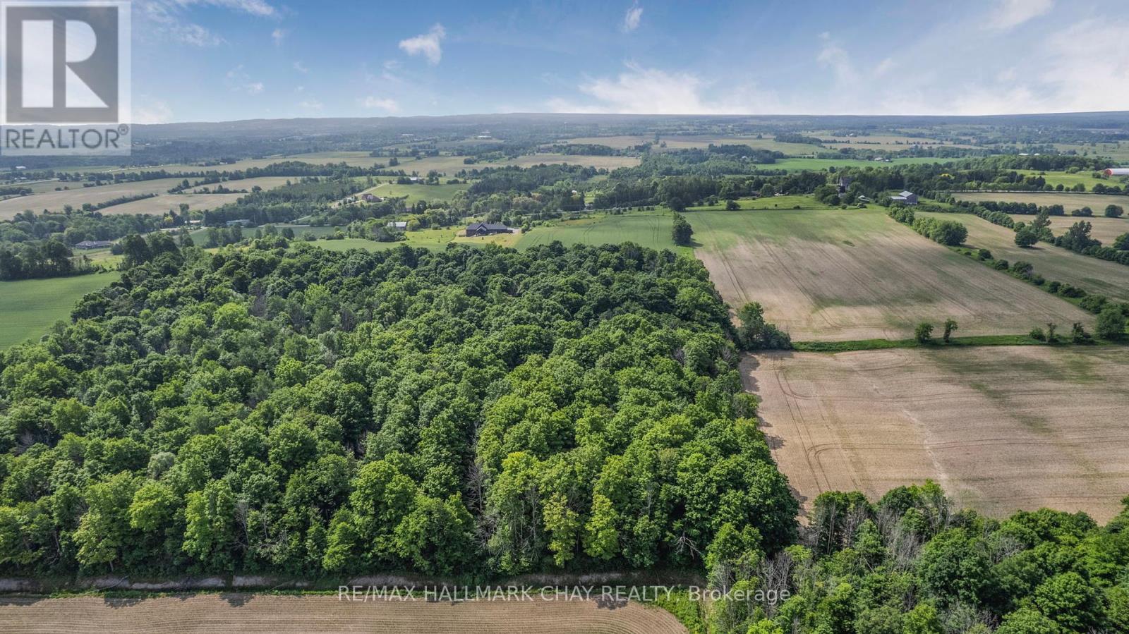 6910 & 6924 7th Line, New Tecumseth, Ontario  L0G 1A0 - Photo 14 - N12313067