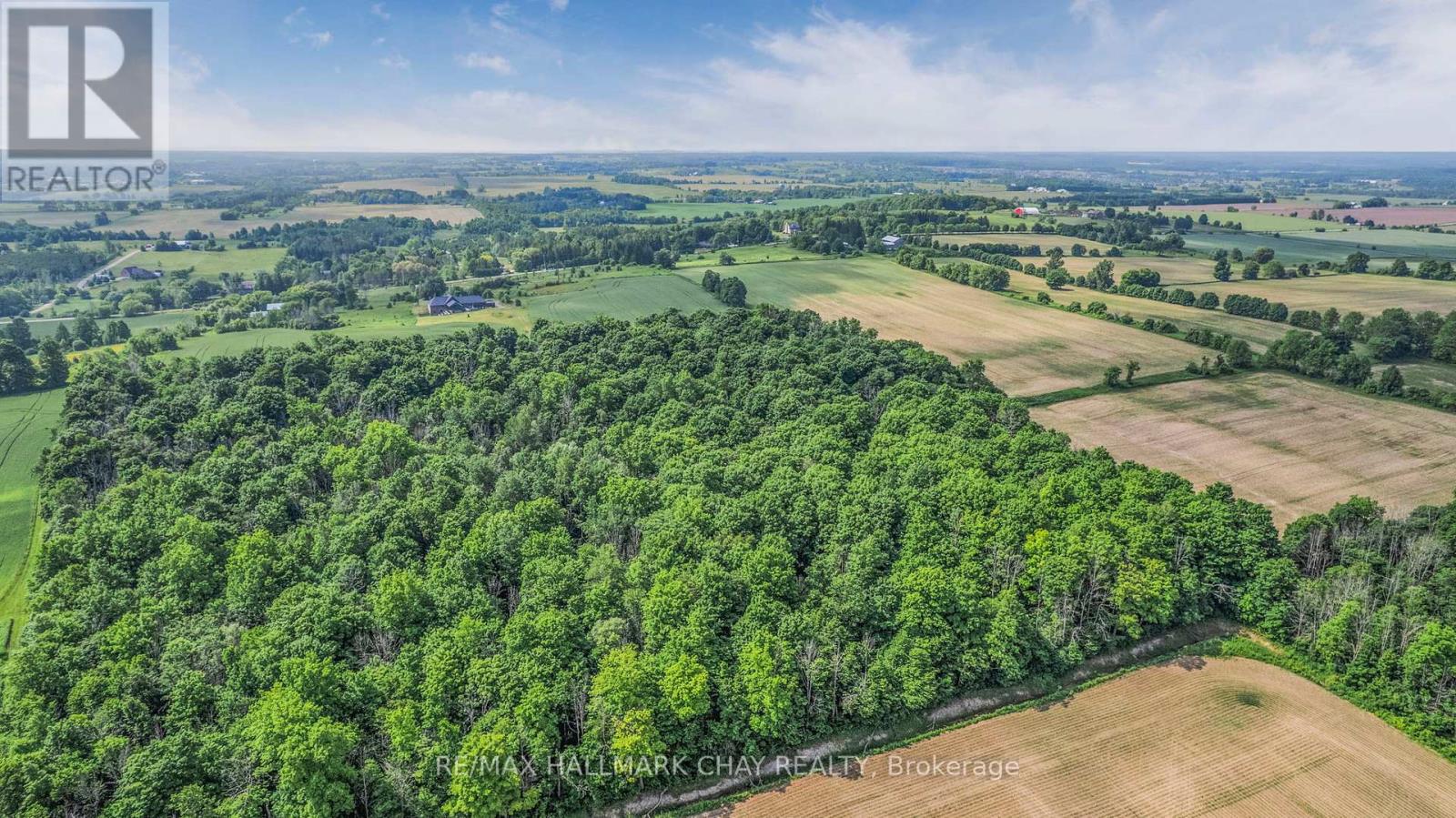 6910 & 6924 7th Line, New Tecumseth, Ontario  L0G 1A0 - Photo 17 - N12313067