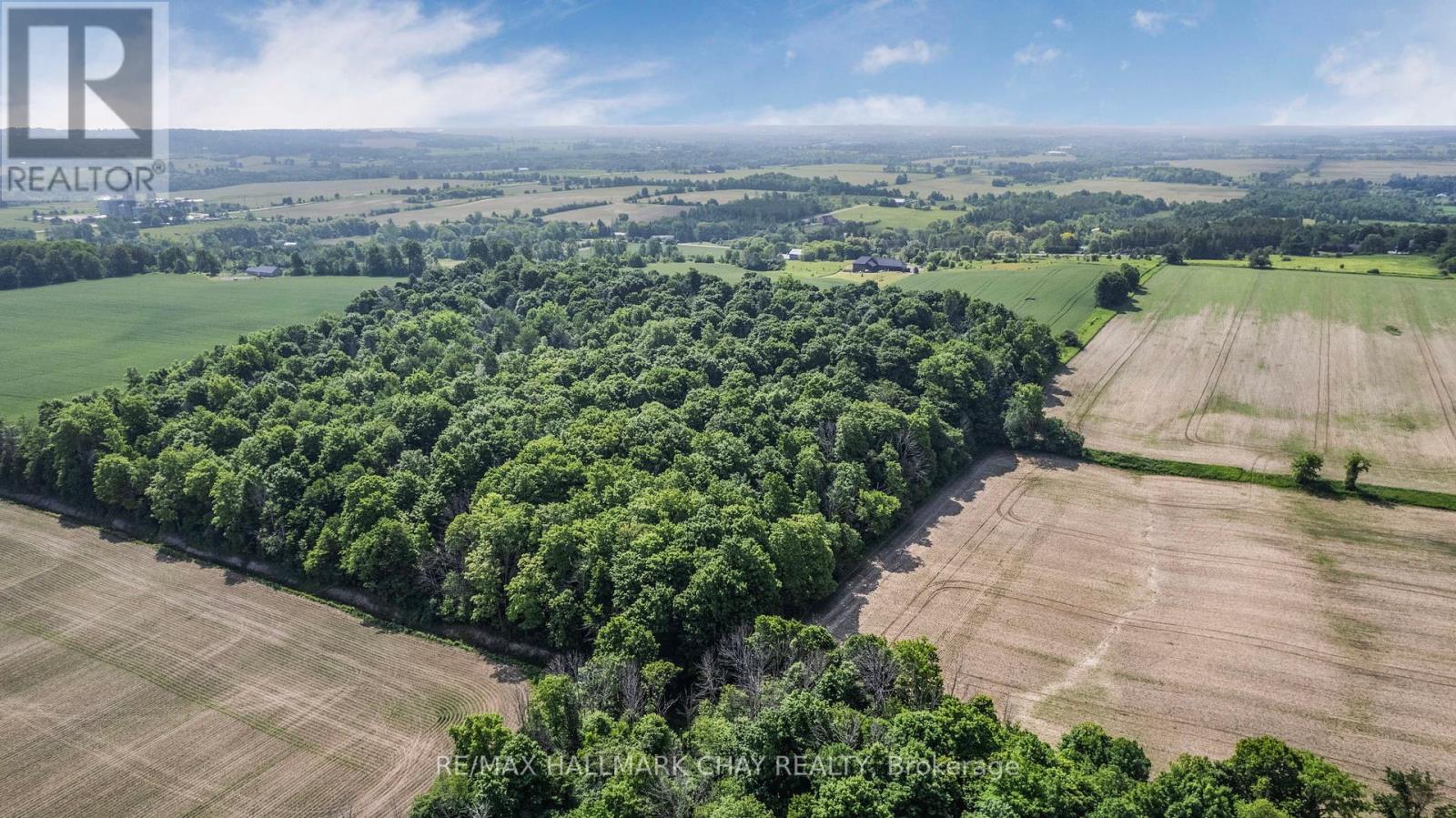 6910 & 6924 7th Line, New Tecumseth, Ontario  L0G 1A0 - Photo 9 - N12313067