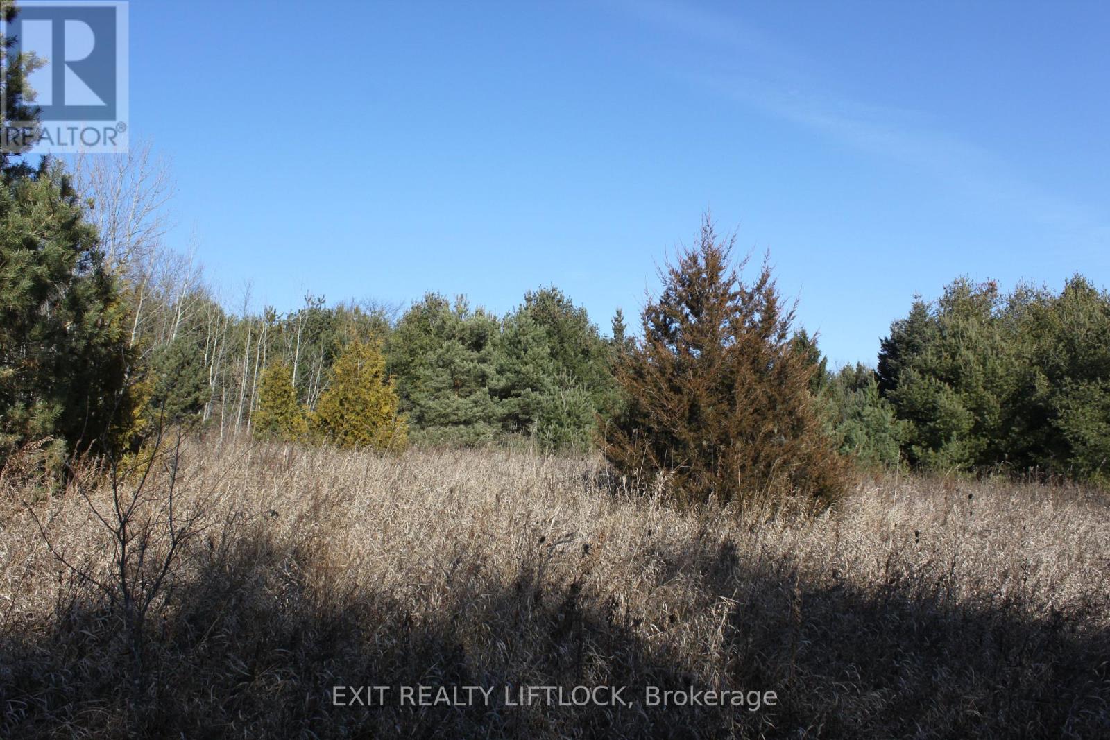 104 Concession 3 W, Trent Hills, Ontario  K0K 3K0 - Photo 11 - X12089524