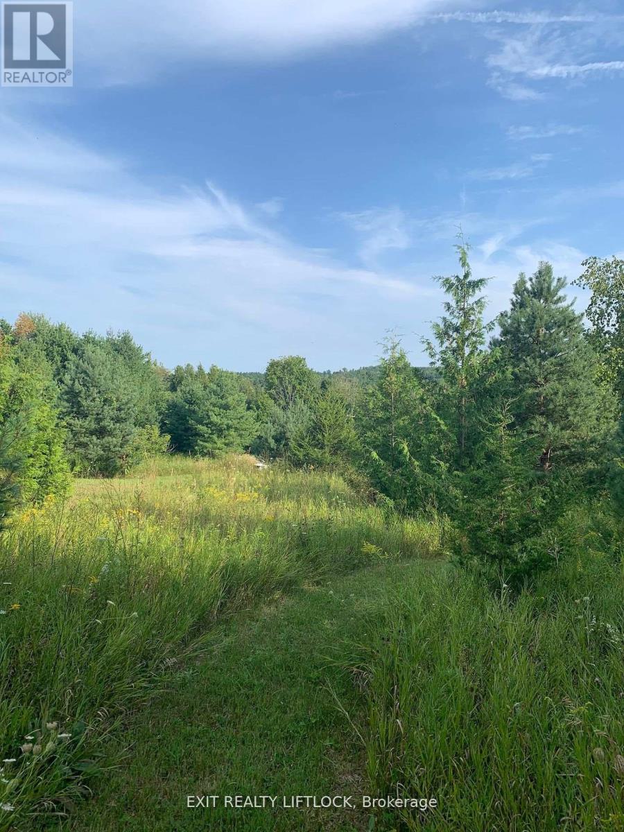 104 Concession 3 W, Trent Hills, Ontario  K0K 3K0 - Photo 13 - X12089524