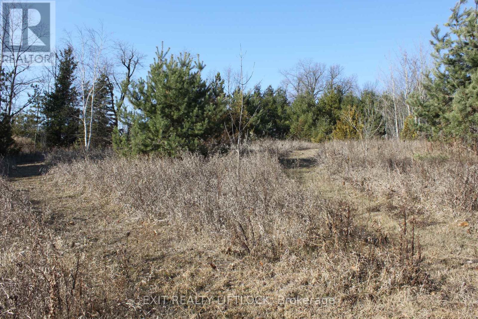 104 Concession 3 W, Trent Hills, Ontario  K0K 3K0 - Photo 4 - X12089524