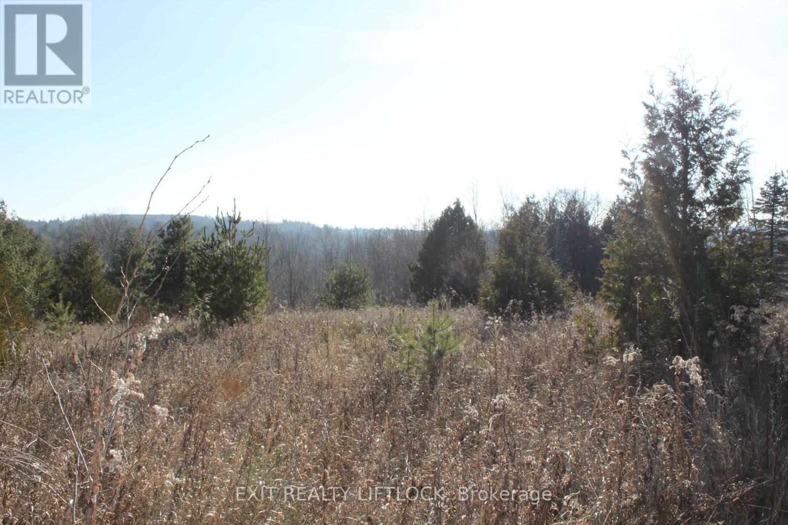 104 Concession 3 W, Trent Hills, Ontario  K0K 3K0 - Photo 5 - X12089524