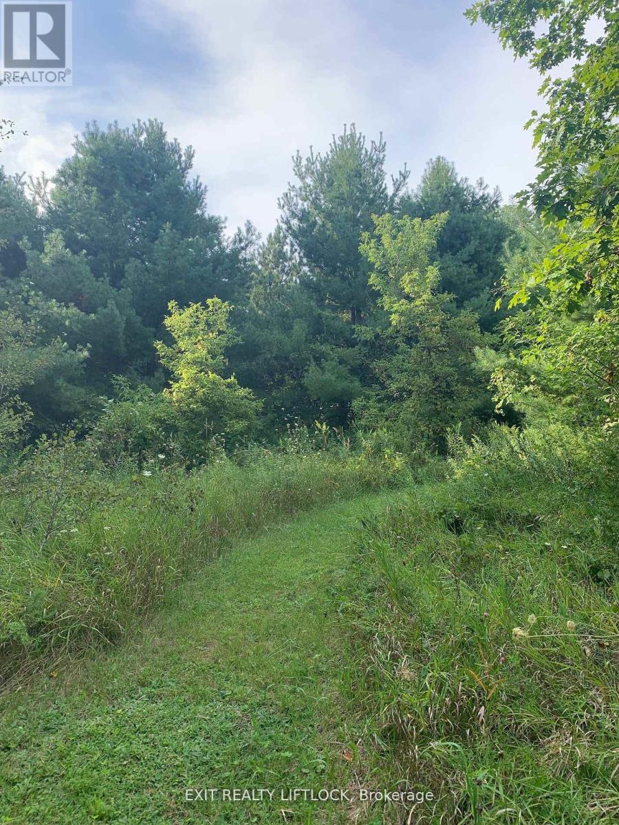 104 Concession 3 W, Trent Hills, Ontario  K0K 3K0 - Photo 12 - X12089524