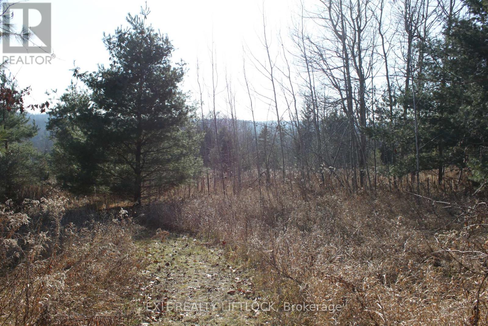 104 Concession 3 W, Trent Hills, Ontario  K0K 3K0 - Photo 6 - X12089524