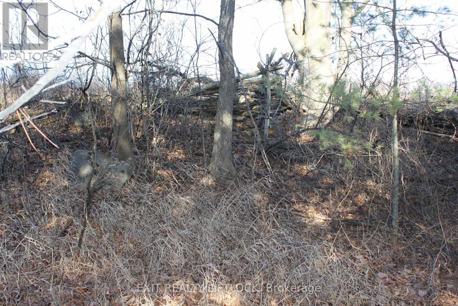 104 Concession 3 W, Trent Hills, Ontario  K0K 3K0 - Photo 8 - X12089524