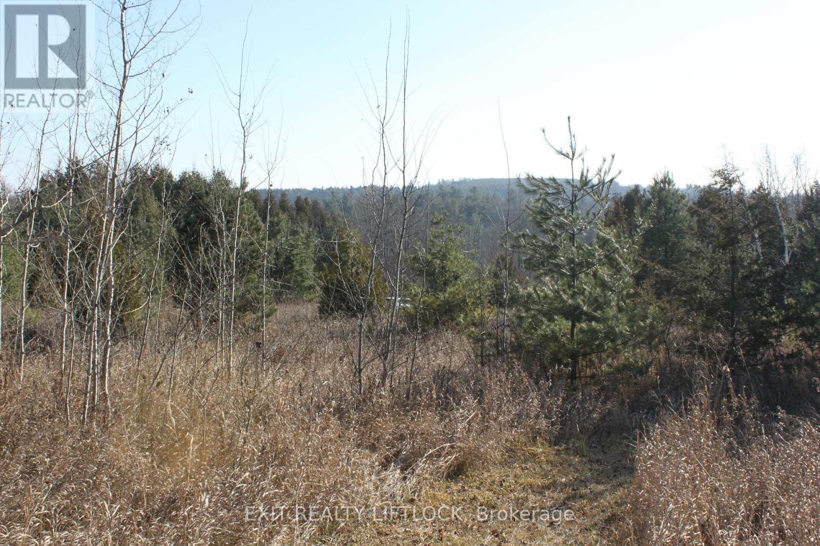 104 Concession 3 W, Trent Hills, Ontario  K0K 3K0 - Photo 9 - X12089524