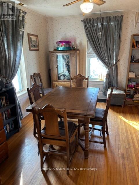 55 Nelson Street, Centre Hastings, Ontario  K0K 2K0 - Photo 16 - X12493516