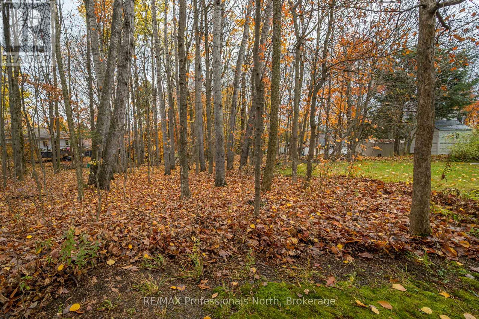 45 Yonge Street S, Huntsville, Ontario  P1H 1V1 - Photo 28 - X12493570