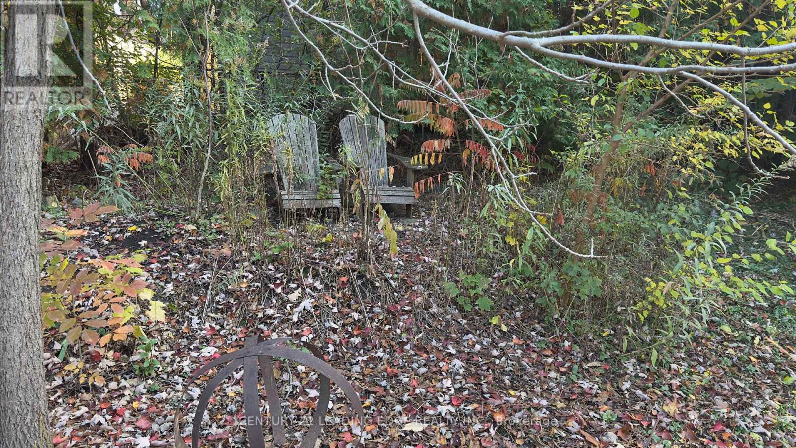 117 Westwood Lane, Richmond Hill, Ontario  L4C 6X8 - Photo 6 - N12489996